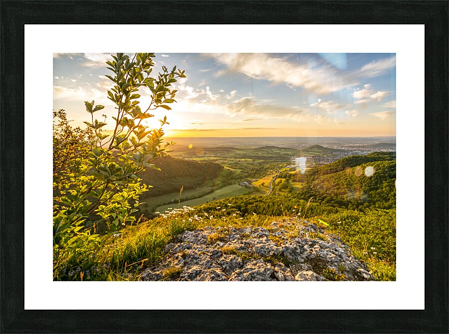  Fine Art print
