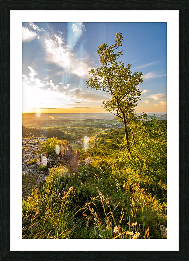  Fine Art print
