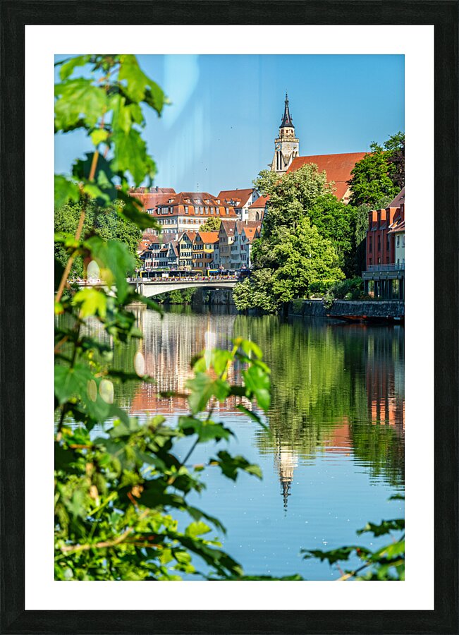 Riverside view of the old town and church of Tübingen in Germany in summer Picture Frame print