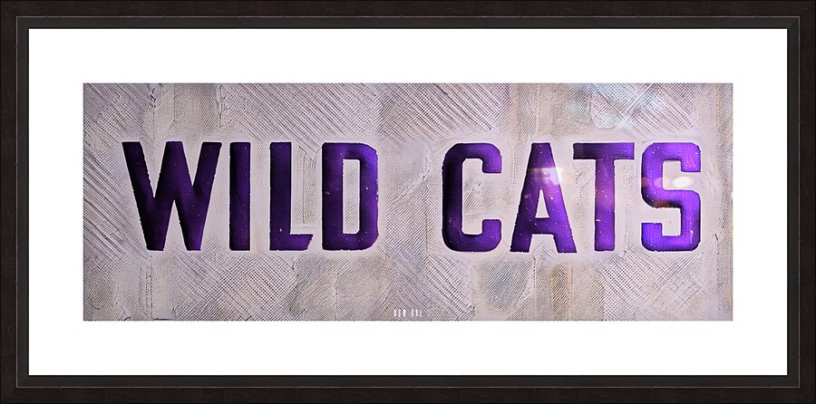 Wild Cats Picture Frame print