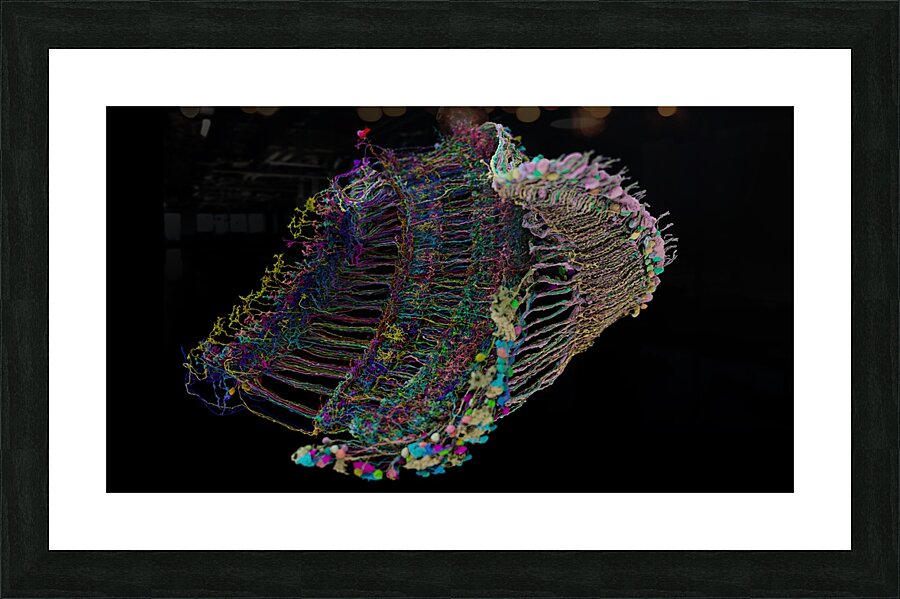  Fine Art print