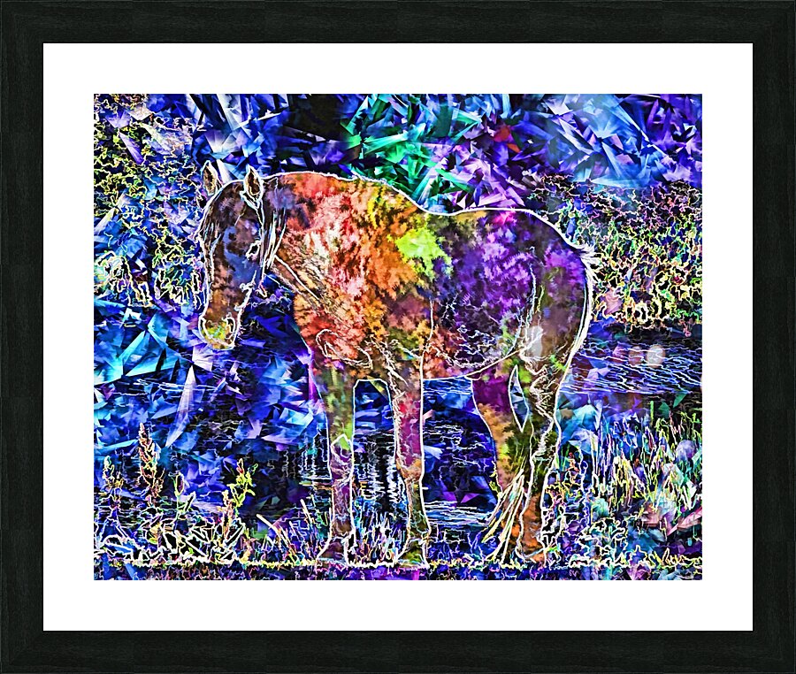 Fine Art print