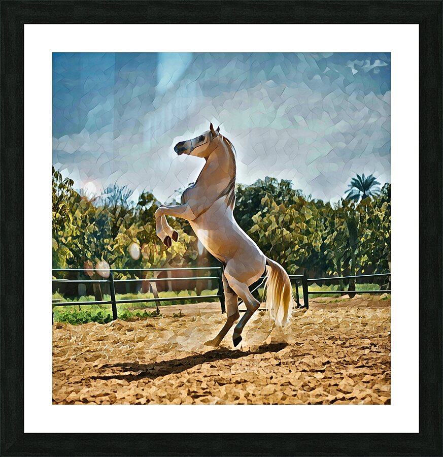  Fine Art print