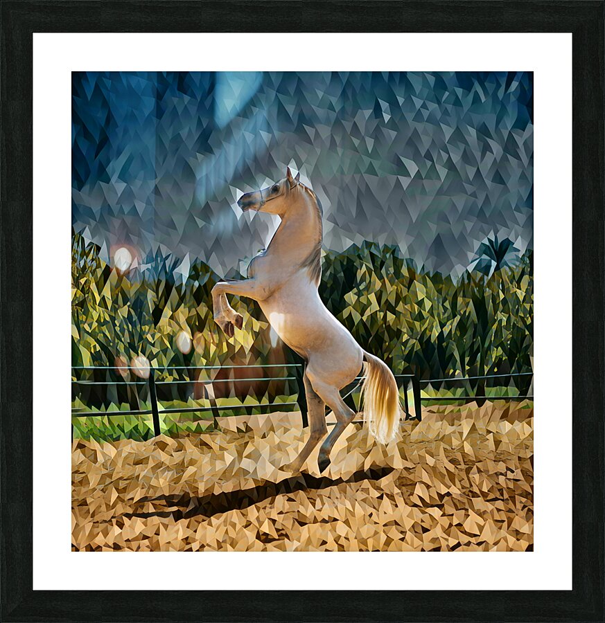  Fine Art print