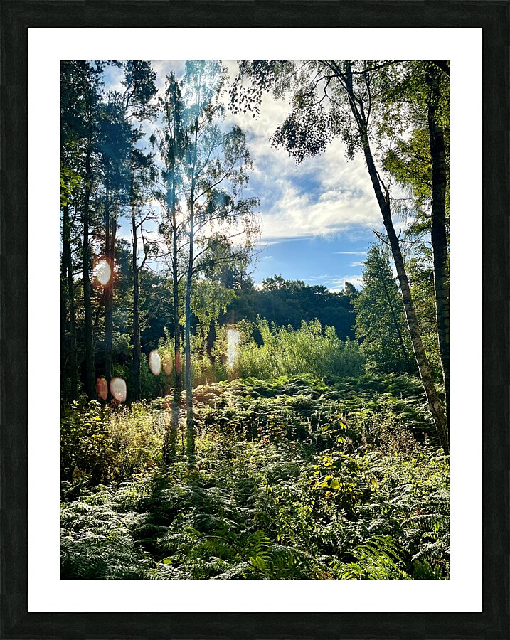 Scottish Highlands Landscape Picture Frame print