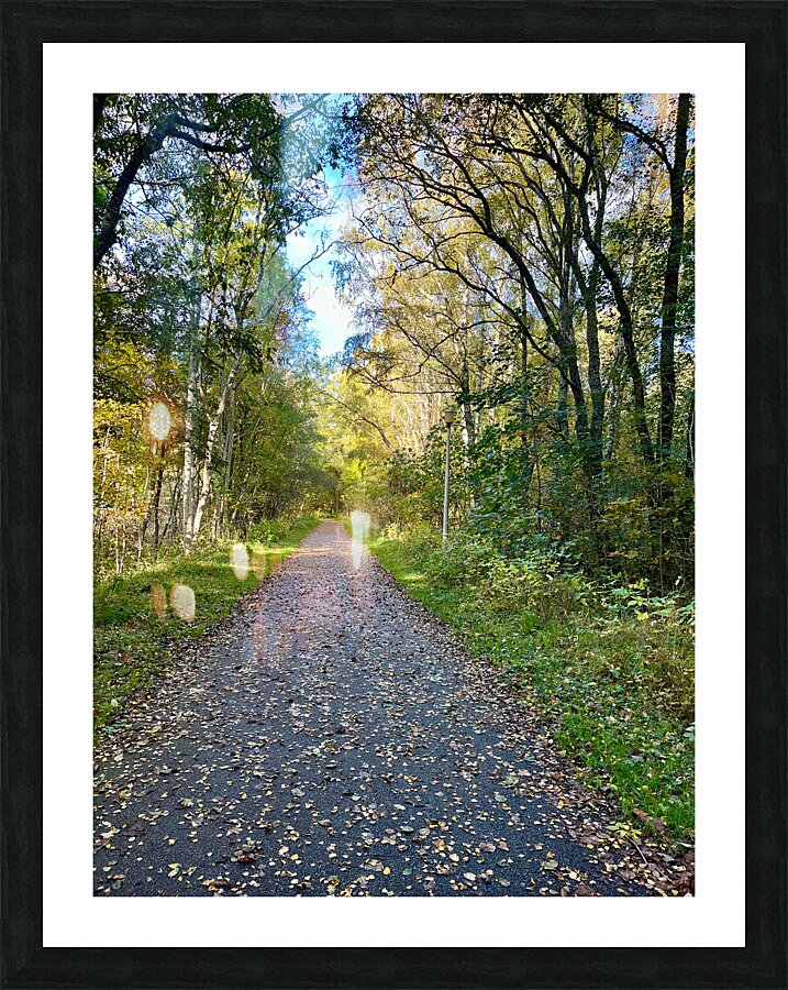 Scottish Highlands Autumn Walk Picture Frame print