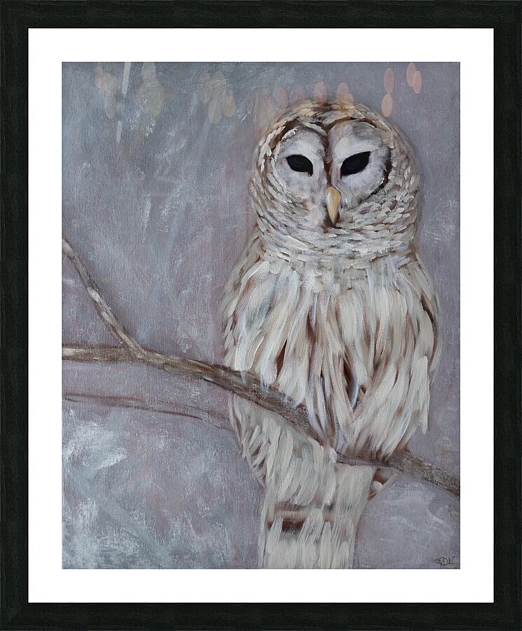 Snow Owl Picture Frame print