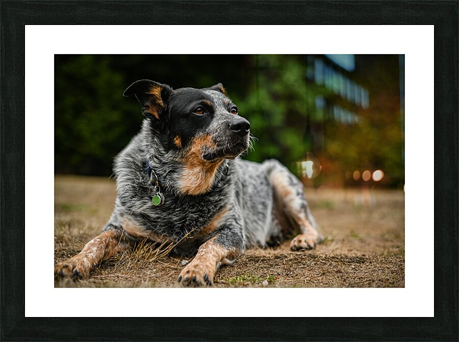 Z72 3543 Picture Frame print