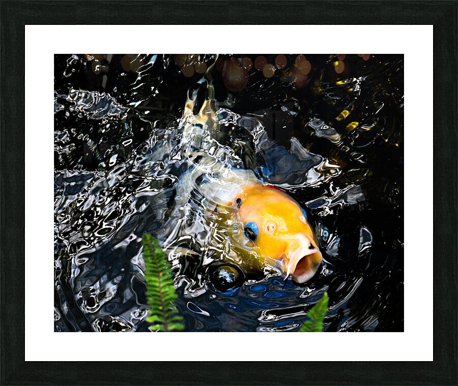 Z72 1016 Picture Frame print