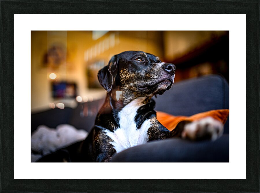 Z72 4022 Picture Frame print