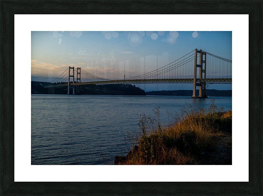 Z72 2594 Picture Frame print