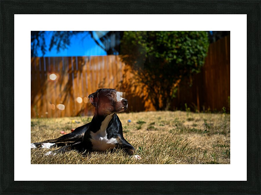 Z72 2981 Picture Frame print