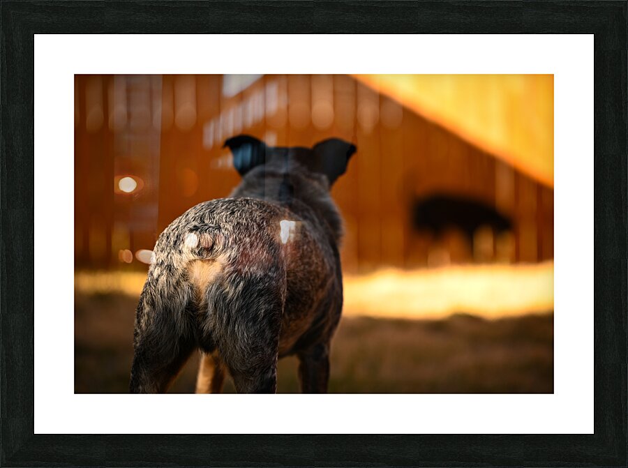 Z72 2939 Picture Frame print