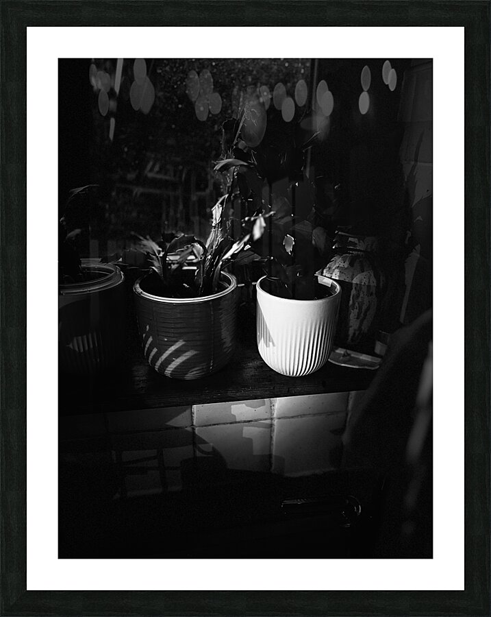 Everyday Lifes Moments- The Kitchen Plants Picture Frame print