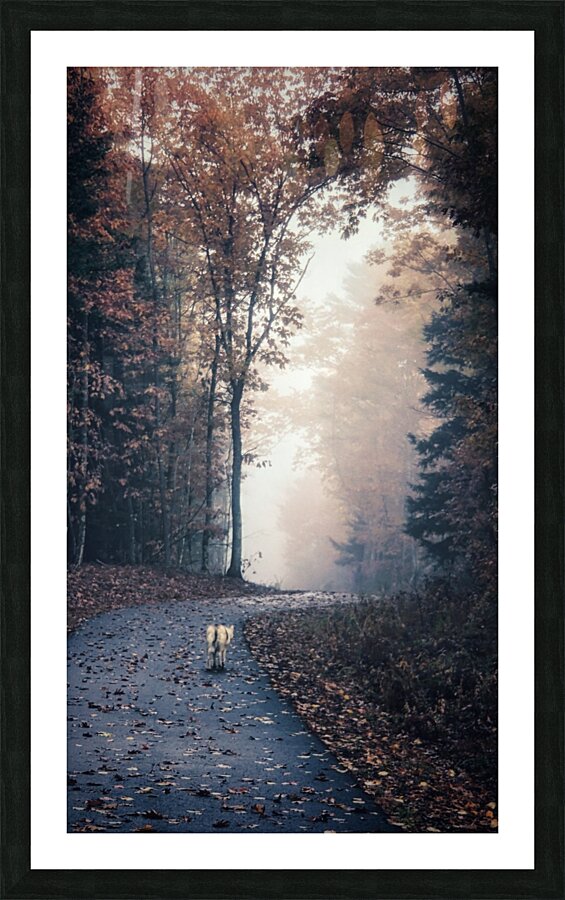 Long Road Home Picture Frame print