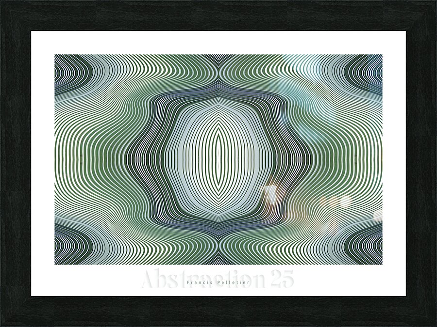 ABSTRACTION 25 Picture Frame print