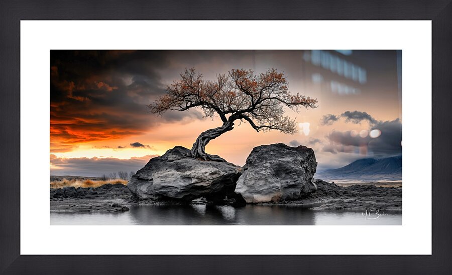 Tree of Life Series  4 Picture Frame print