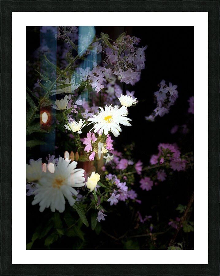Cottage Garden in the Darkness Picture Frame print