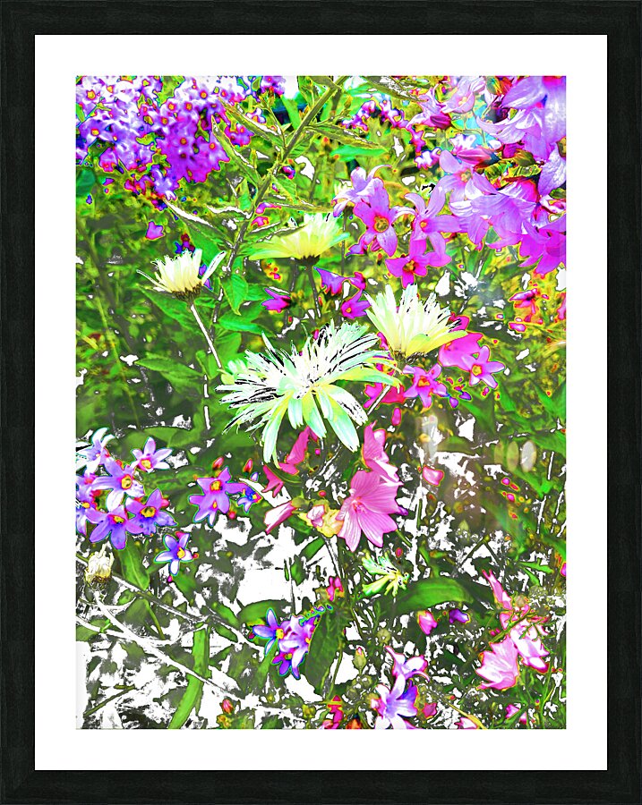 Vibrant Cottage Garden Flowers Picture Frame print