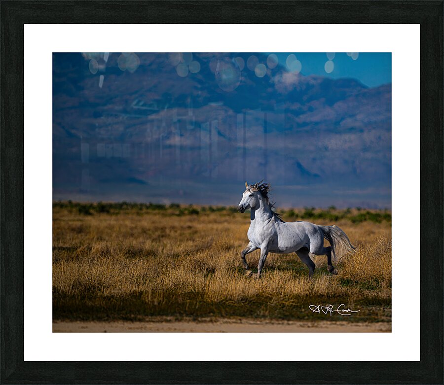 BZ9 5089 Enhanced NR Picture Frame print