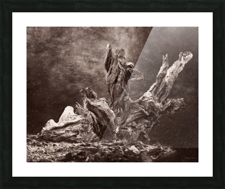 Weathered Picture Frame print