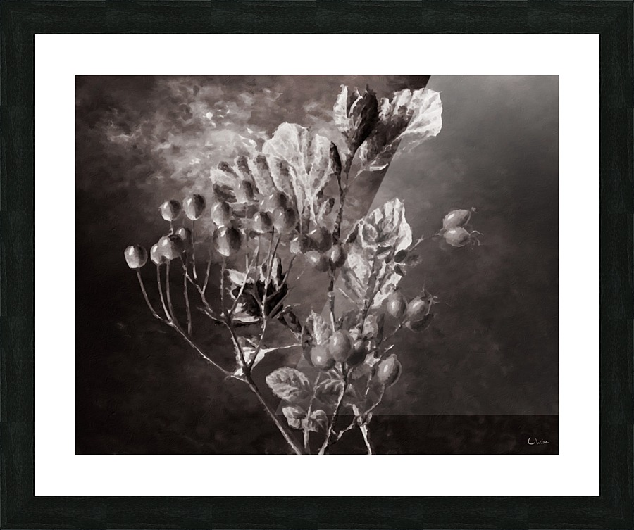 Fall Remembers Picture Frame print