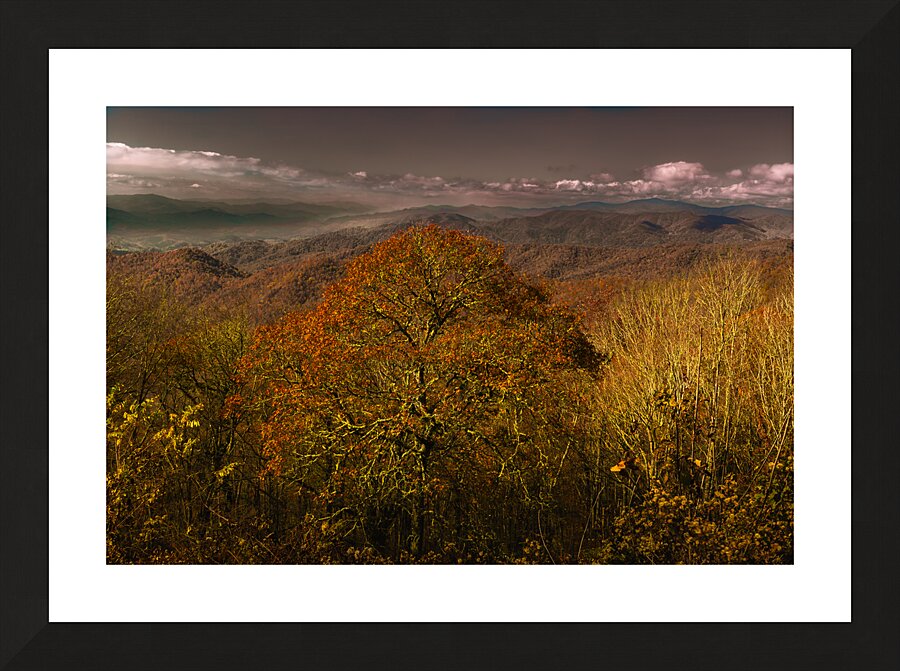 Smoky Mountains Autumn Overlook Picture Frame print