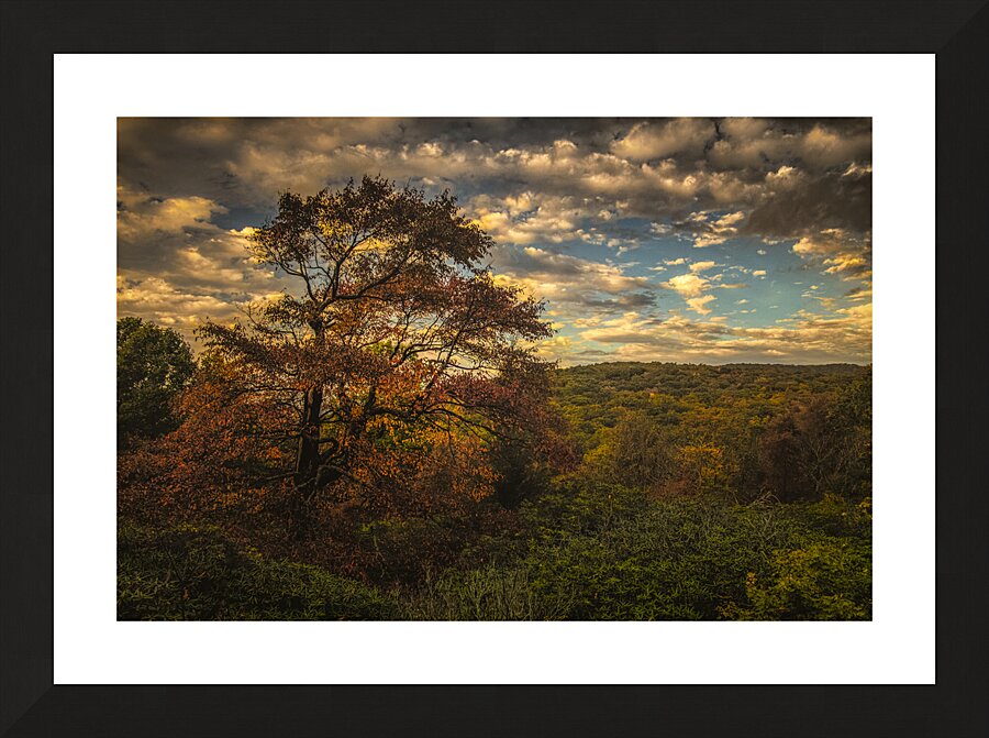 Blue Ridge Parkway on my Mind in Autumn Picture Frame print