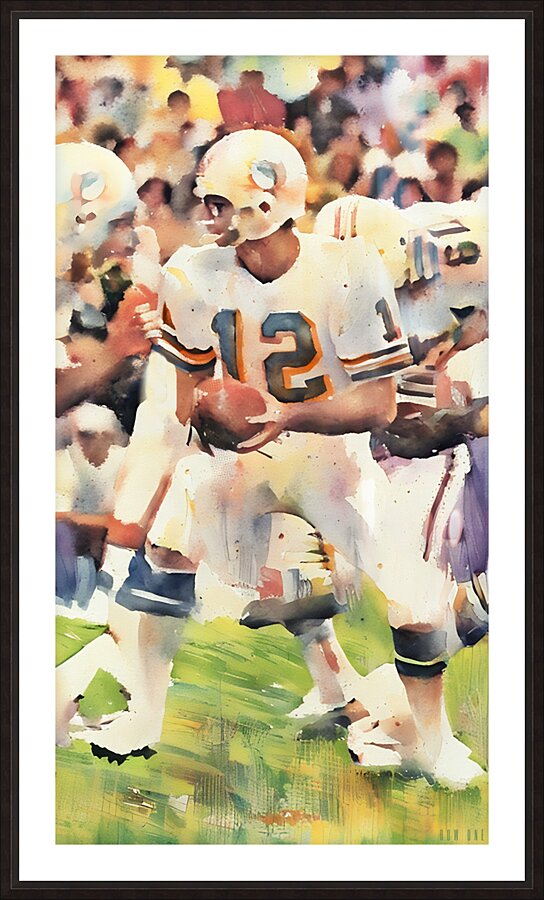 bob griese 1978 miami dolphins art Picture Frame print
