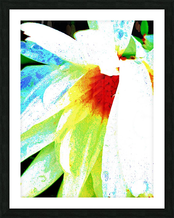 Abstract Textured Daisy Flower Picture Frame print