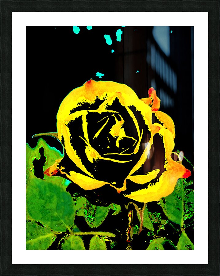 Abstract Rose  Picture Frame print