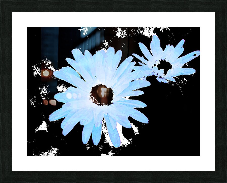 Abstract Blue Daises on a Monochrome Background Picture Frame print