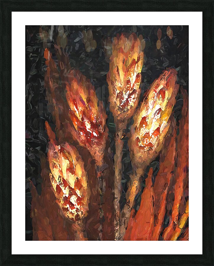Scanned Seed Pods X100 Picture Frame print