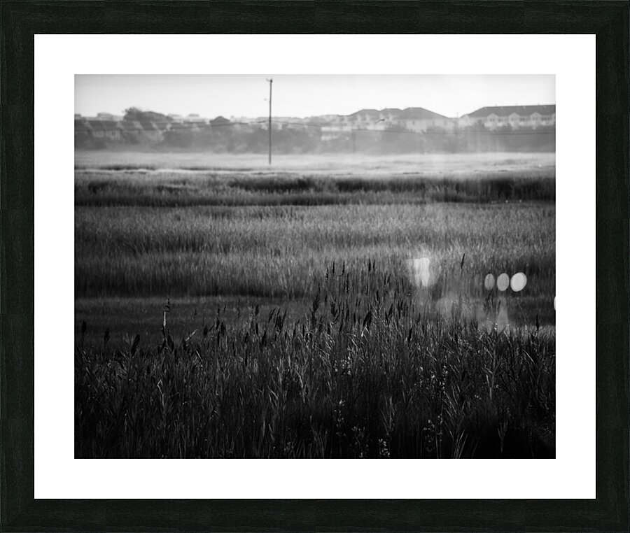 Fields of the Middle Thorofare Picture Frame print