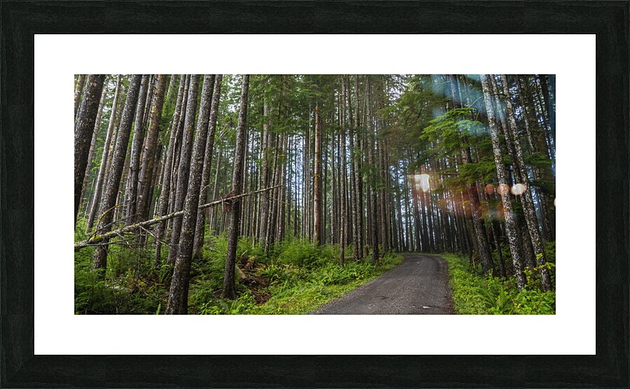 gDAV 8346 Picture Frame print