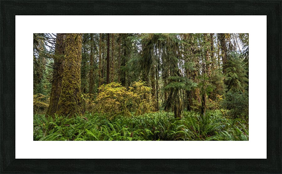 gDAV 8240 Picture Frame print