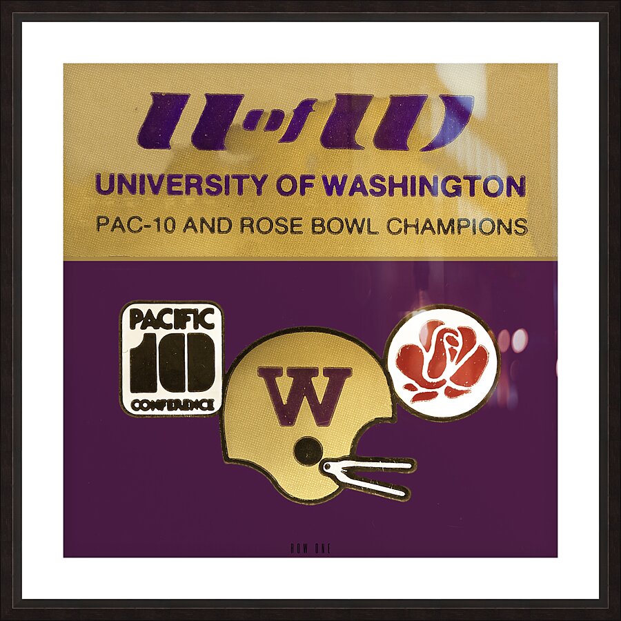 1982 Washington Huskies Football Ticket Art Picture Frame print