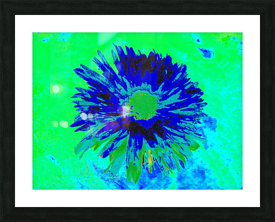Abstract Vibrant Green and Blue Daisy Flower Picture Frame print