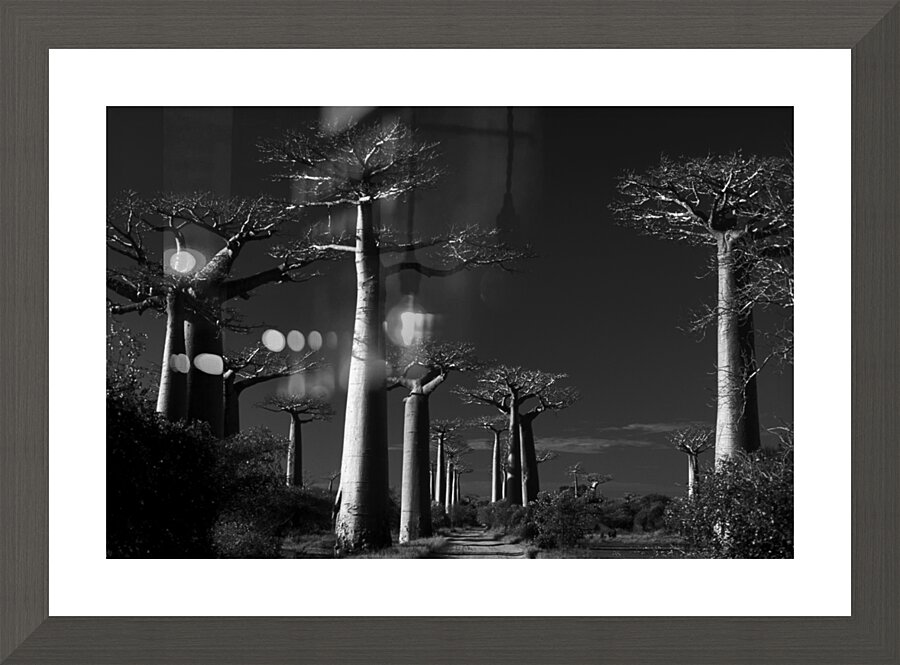 BW PRINT COLLECTION007 Picture Frame print