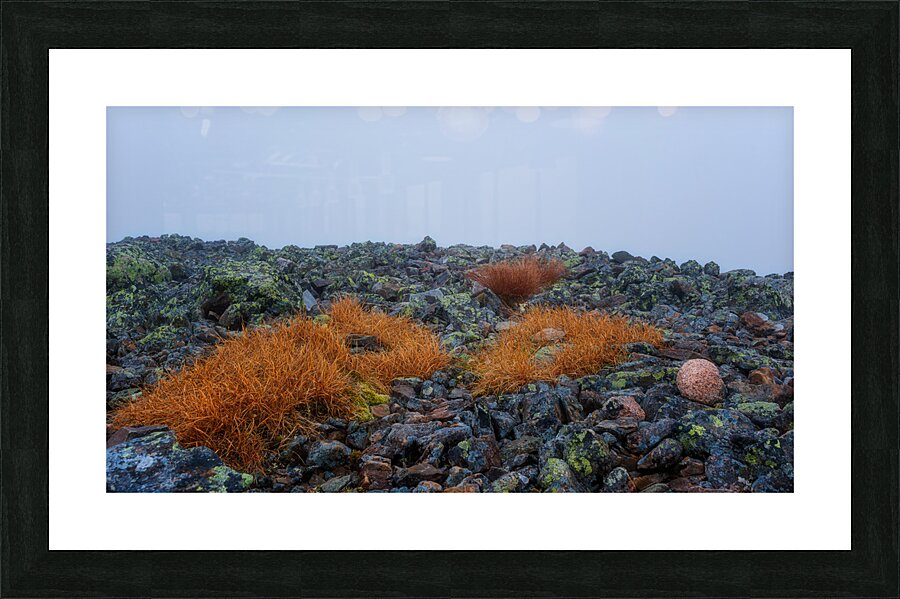 Vie au sommet Picture Frame print