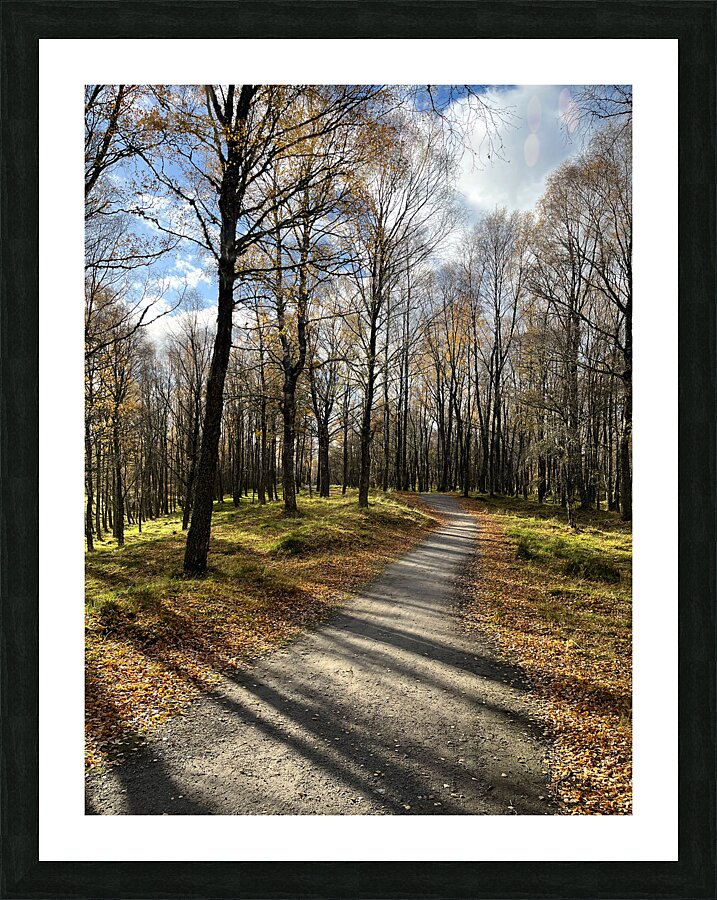 Autumnal Forest Walk Through the Scottish Highlands Picture Frame print