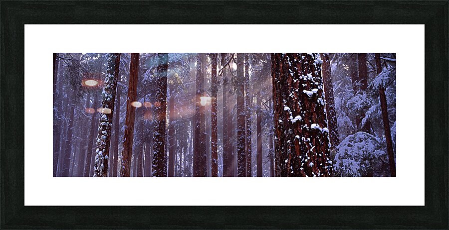 Solstice Picture Frame print