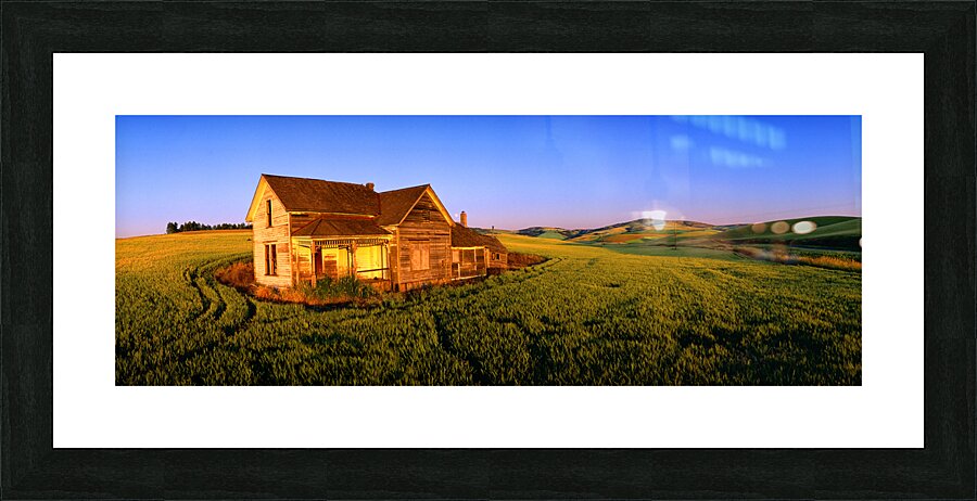 Abandoned Beauty Picture Frame print