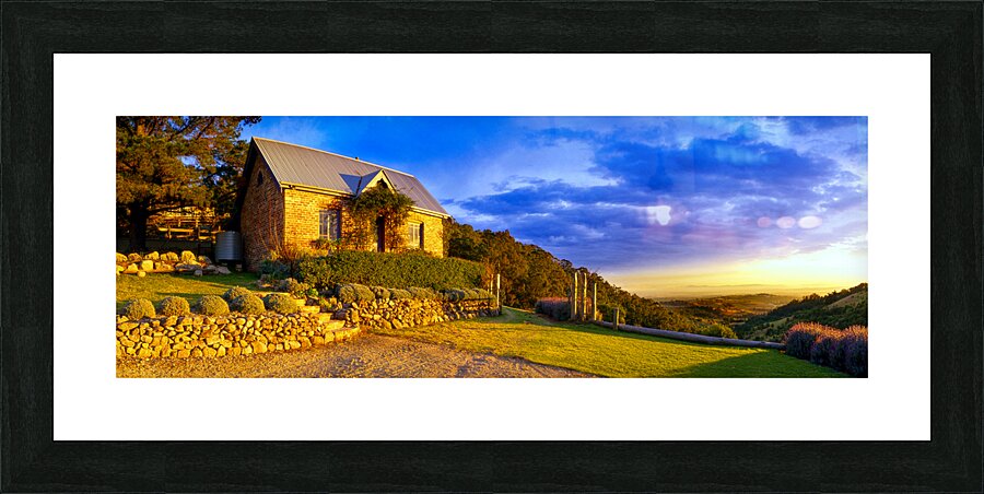 Lavender Farm Picture Frame print