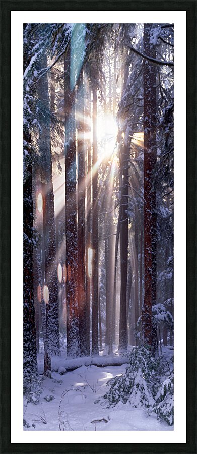 Solstice Vertical Picture Frame print