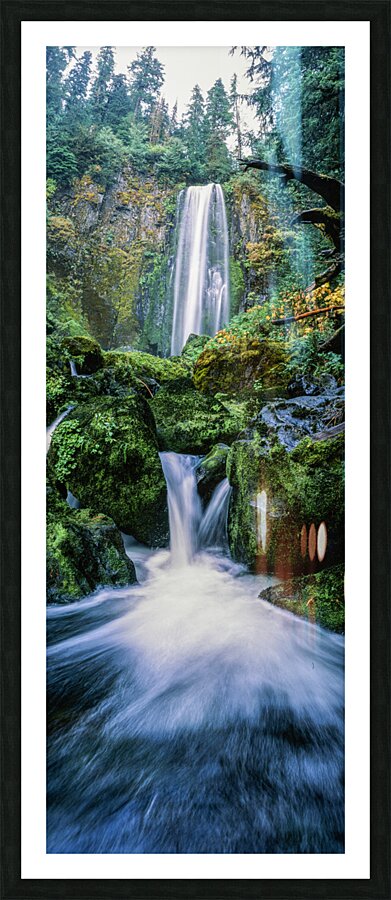 Hidden Veil Picture Frame print