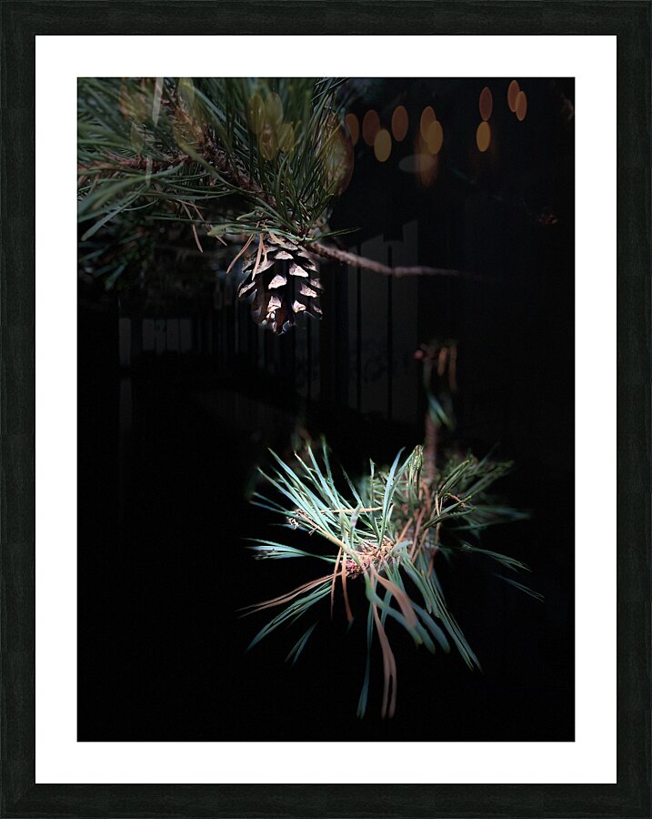 Scenes from the Trail- Pine Cone Picture Frame print