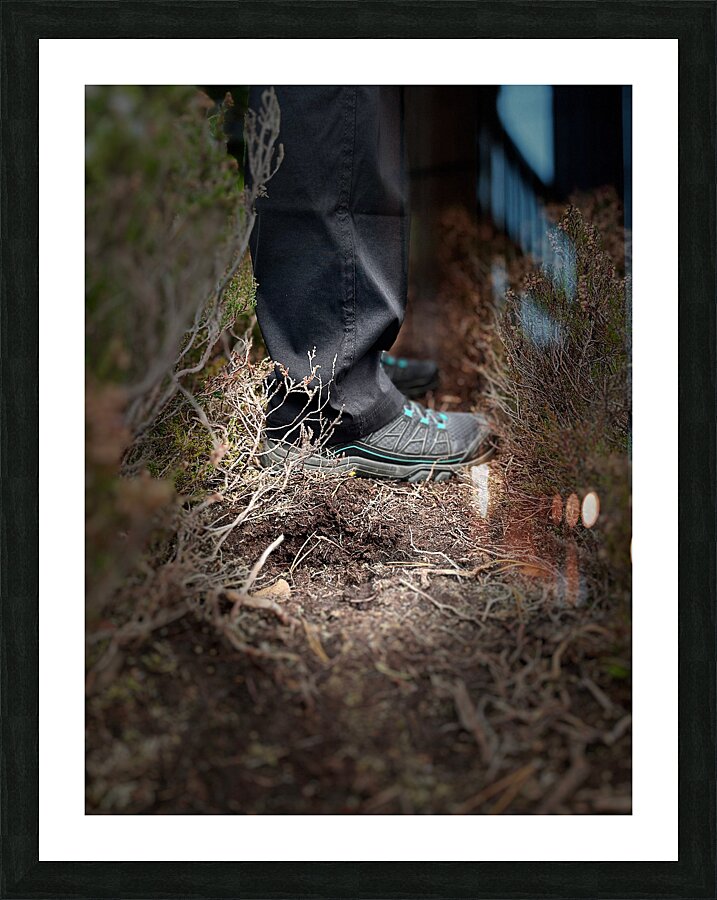 Scenes from the Trail-Standing Picture Frame print