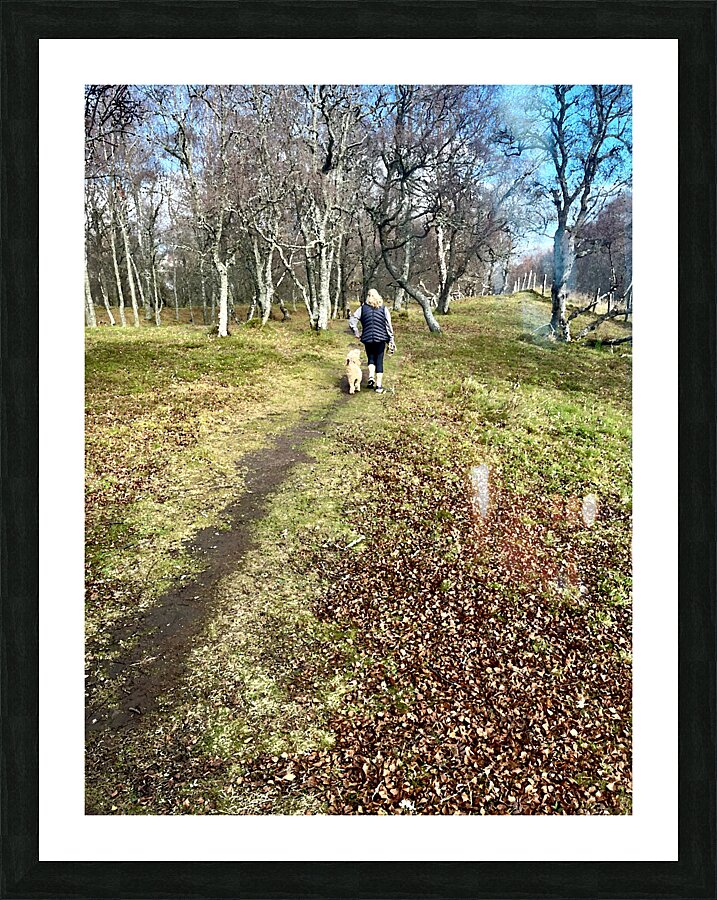 Scenes from the Trail - Impressionistic Dog Walk  Picture Frame print