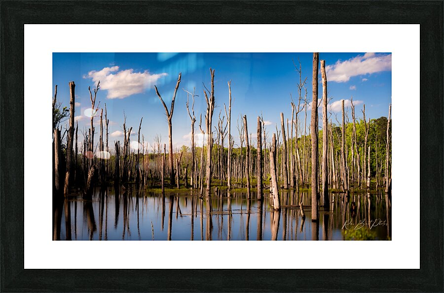 Stick in the Mud 7940 Picture Frame print